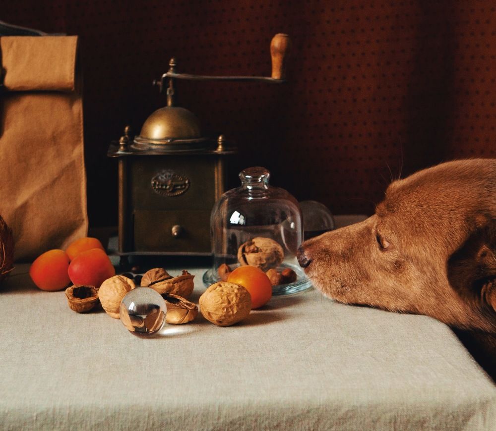 Фотография автора Galina Sa