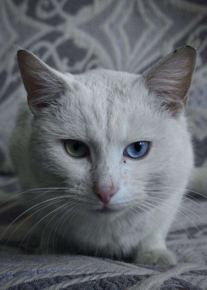 Photograph by Михаил Некрасов