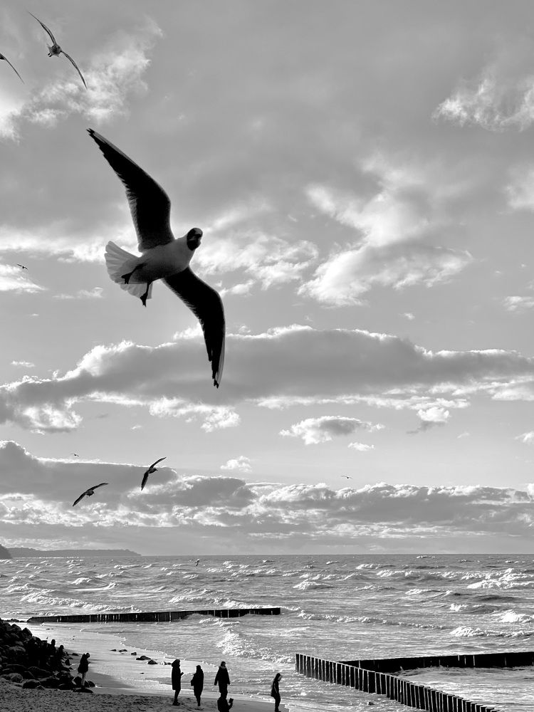 Photograph by Евгения Казакова