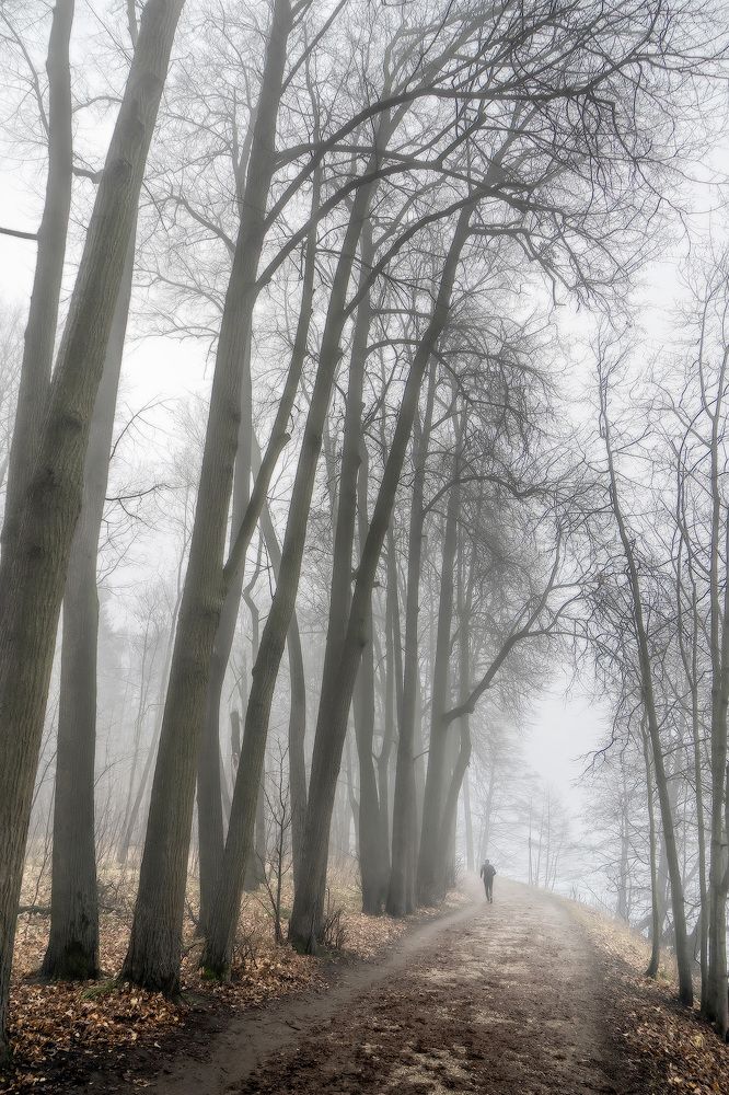 Photograph by Руслан Орлов