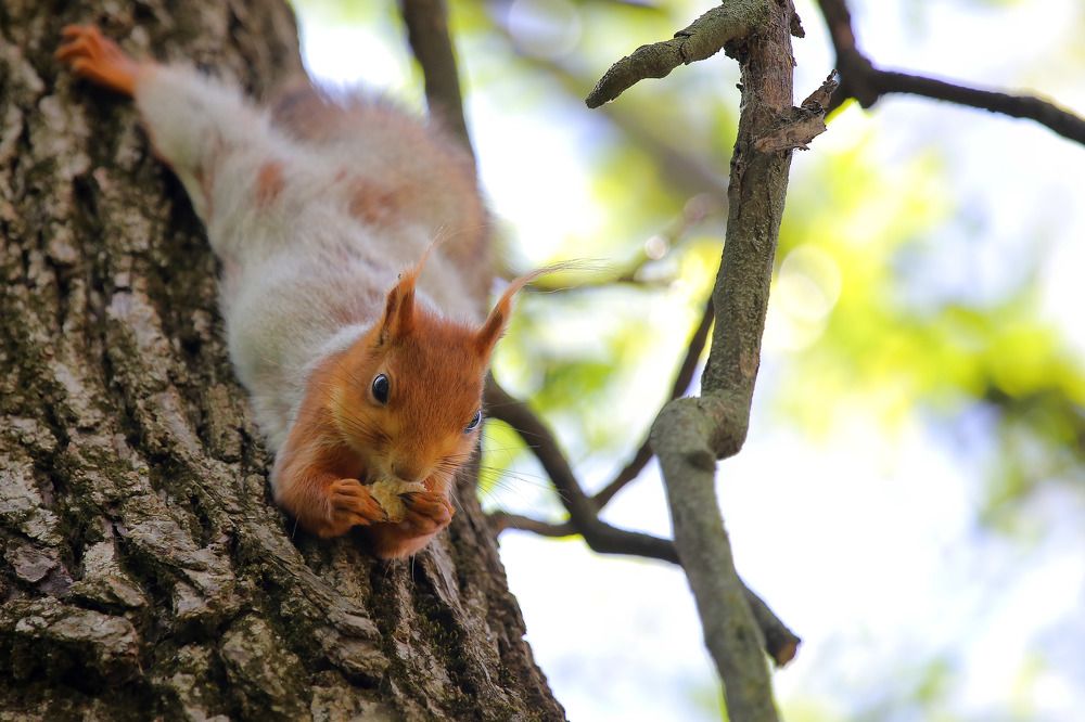 Photograph by Александр Глебов