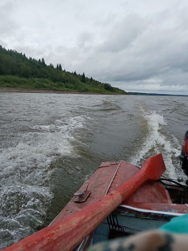 Photo #9506660