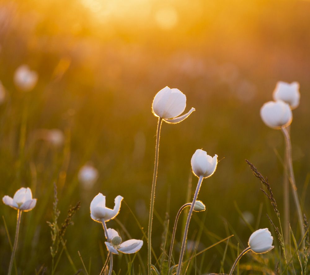 Photograph by Евгения