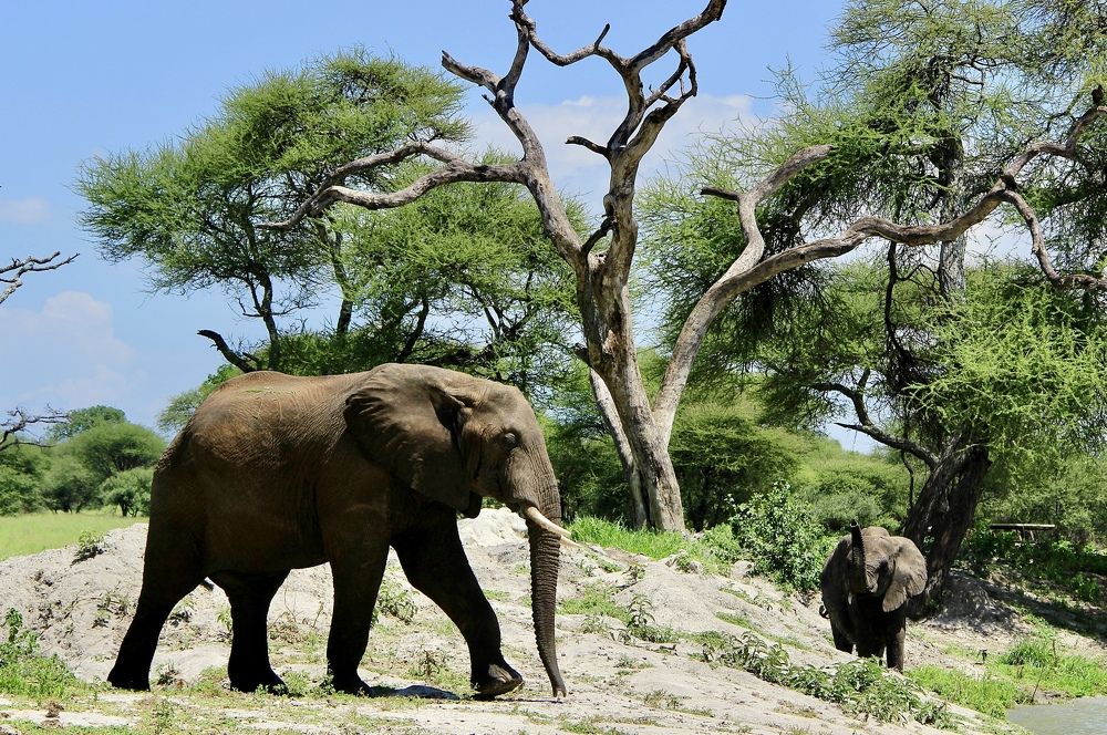 Photograph by Олег Банковский