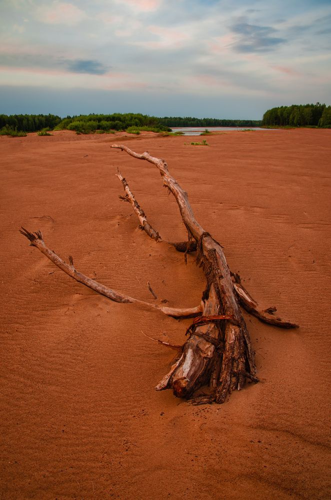 Photograph by Роман Бабин