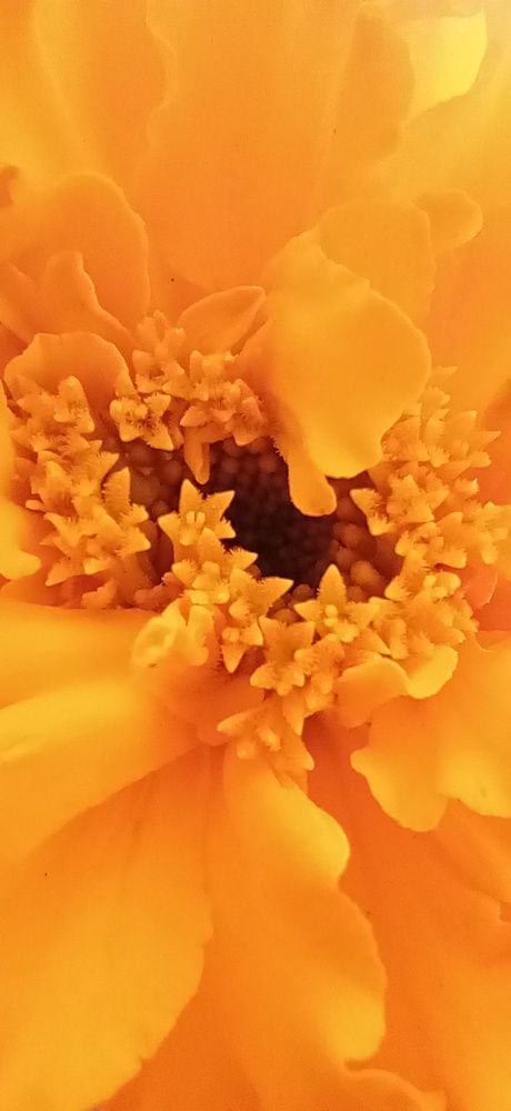 Photograph by Лара