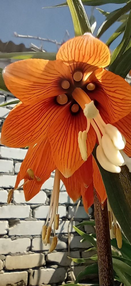 Photograph by Лара