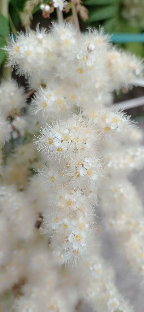 Photograph by Лара