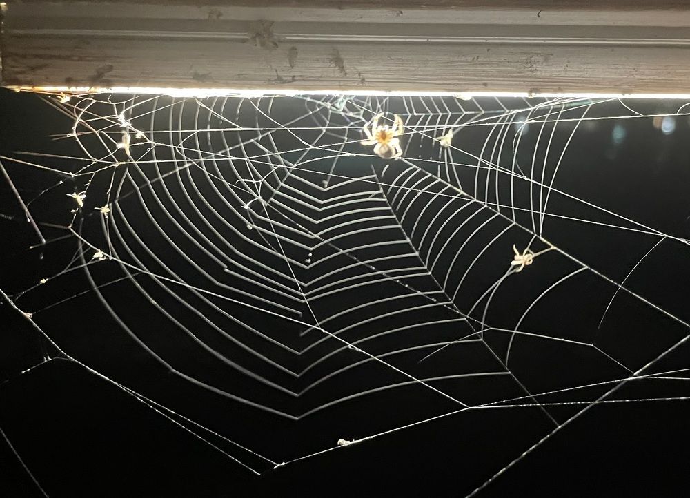 Photograph by Gorobets Olga