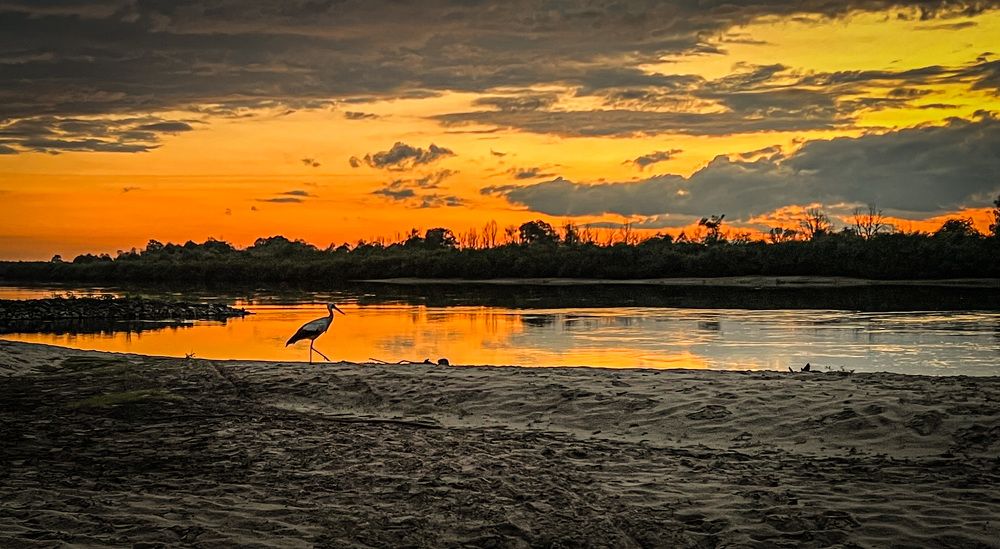 Photograph by Maxim Komissarov