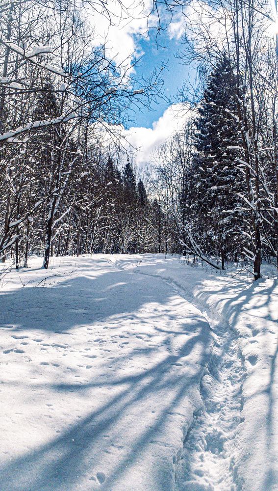 Photograph by Maxim Komissarov