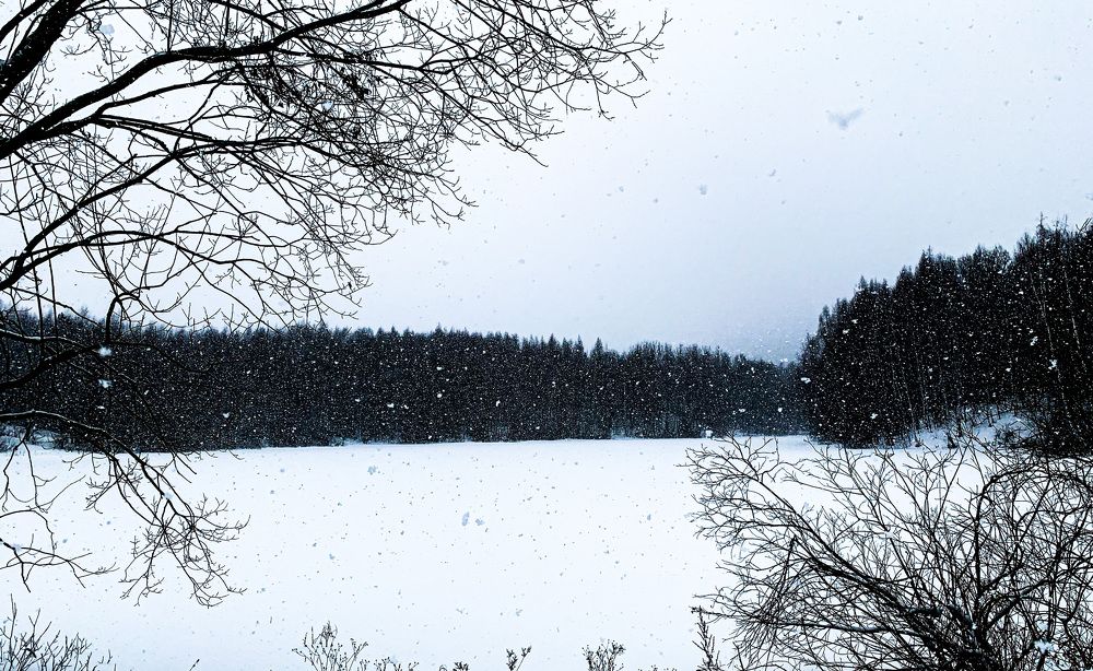 Photograph by Maxim Komissarov