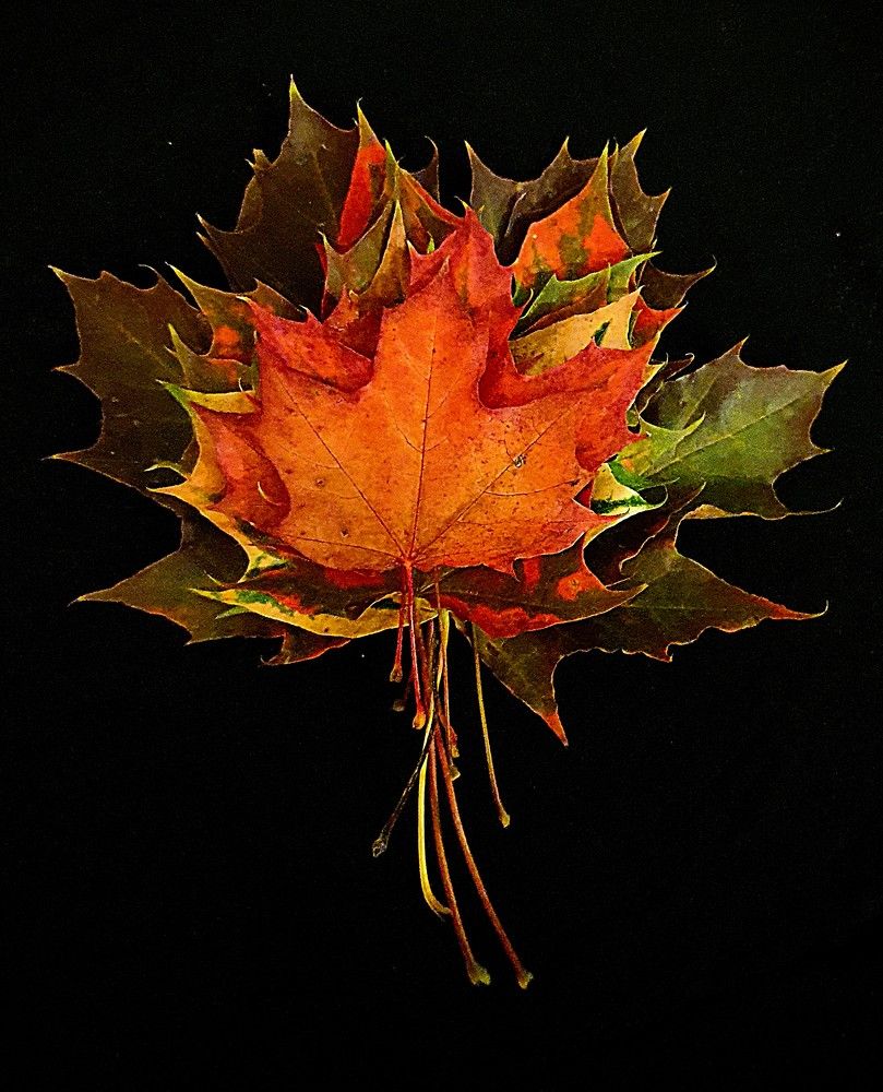 Photograph by Ева К