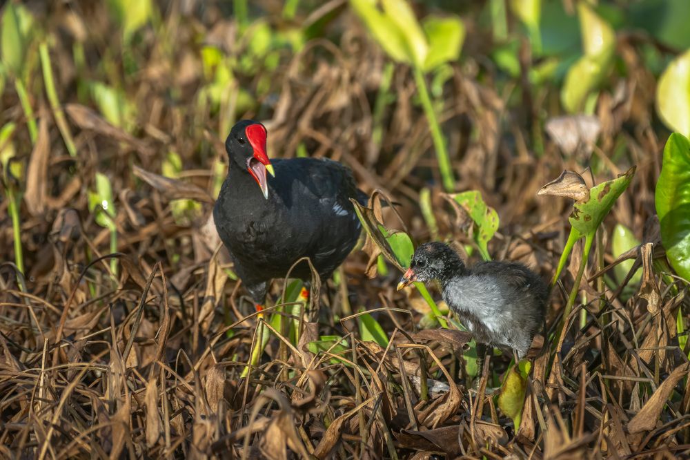 Фотография автора Erik Nelson