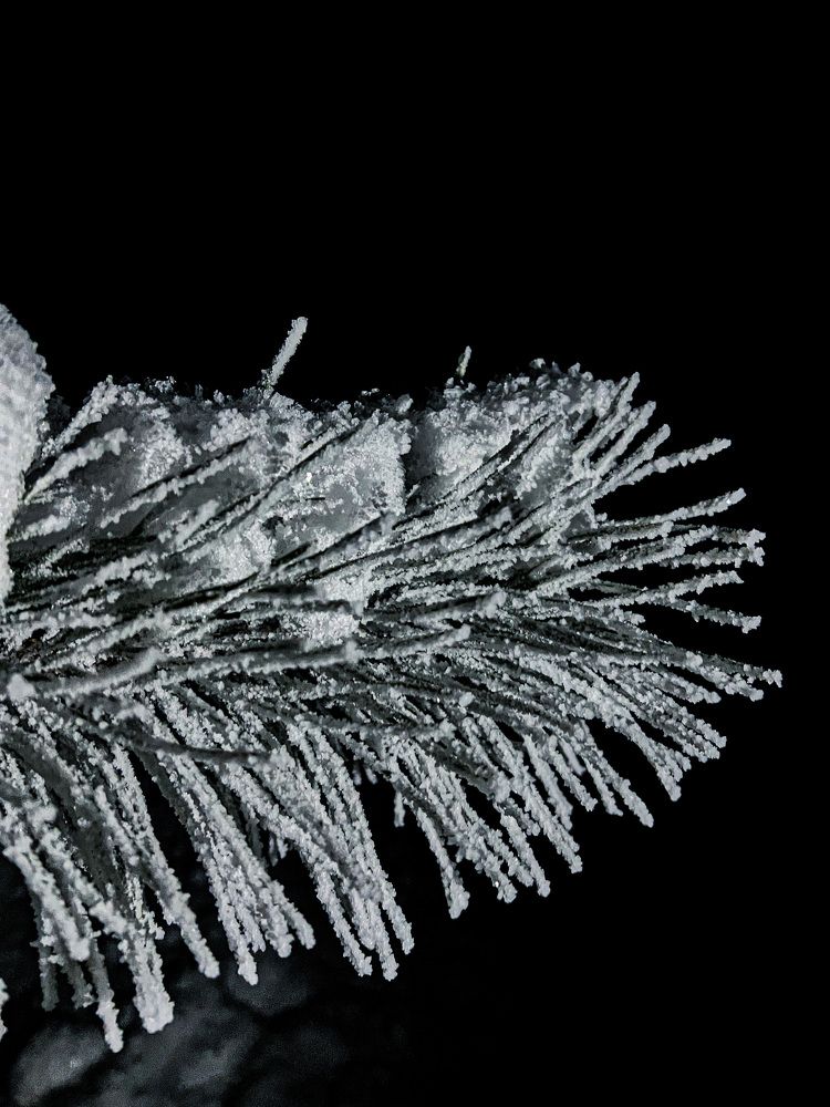 Photograph by Maxim Komissarov