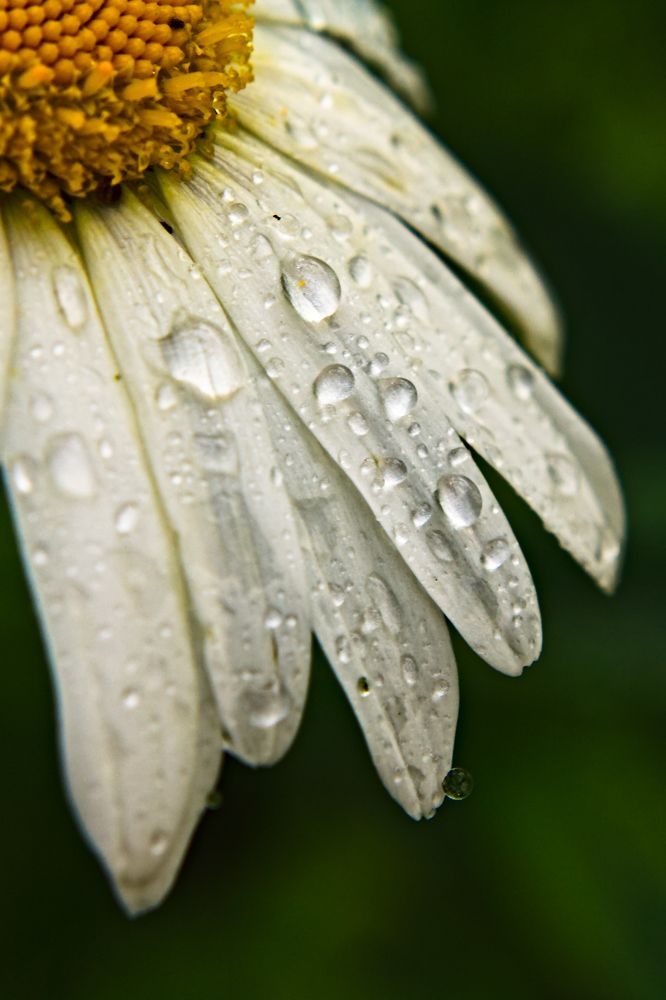 Photograph by Евгений Козлов