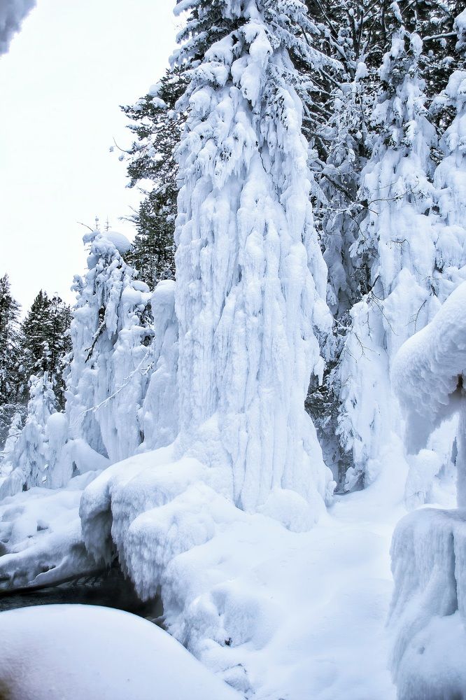 Photograph by Виктория Лобанова