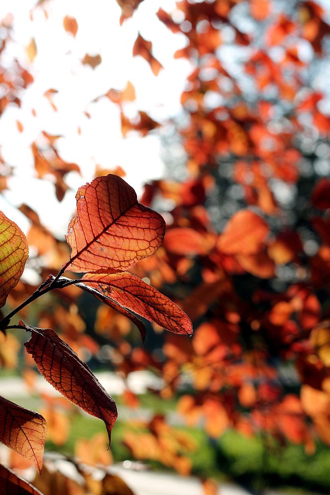 Фотография автора Любовь Харина