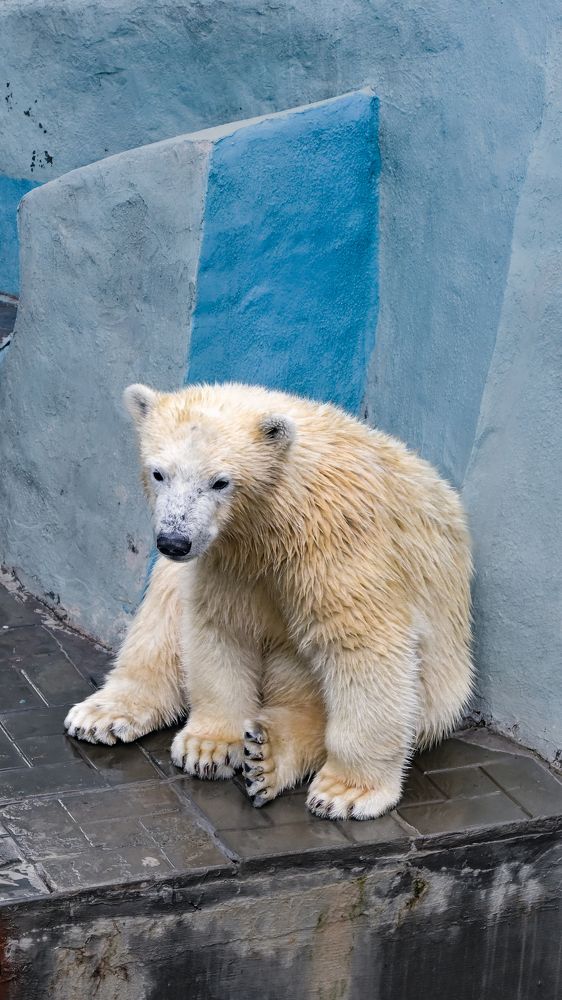 Photograph by Денис Бочаров