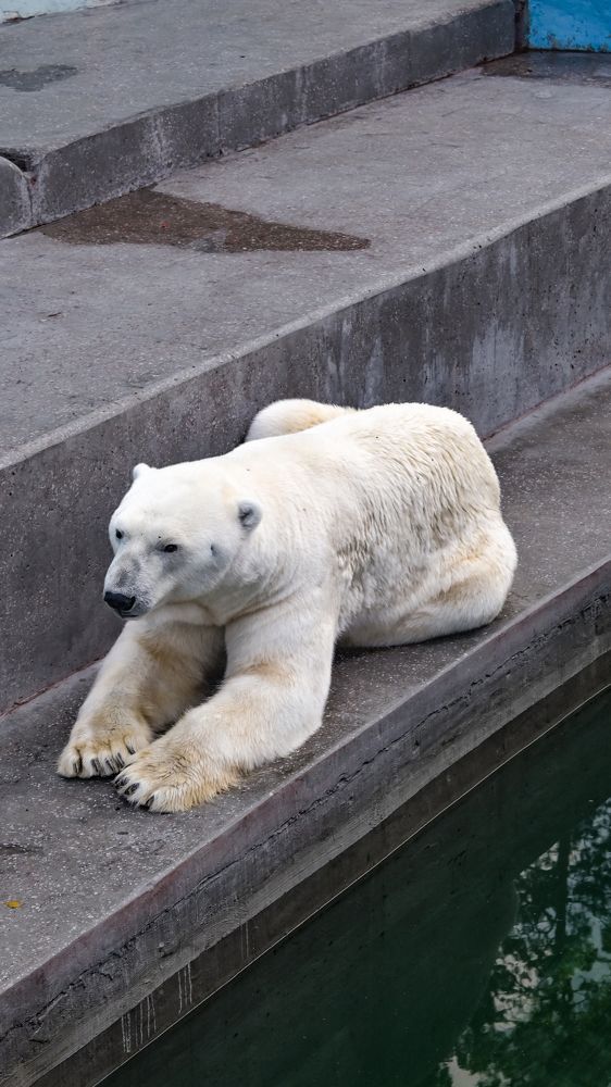 Photograph by Денис Бочаров