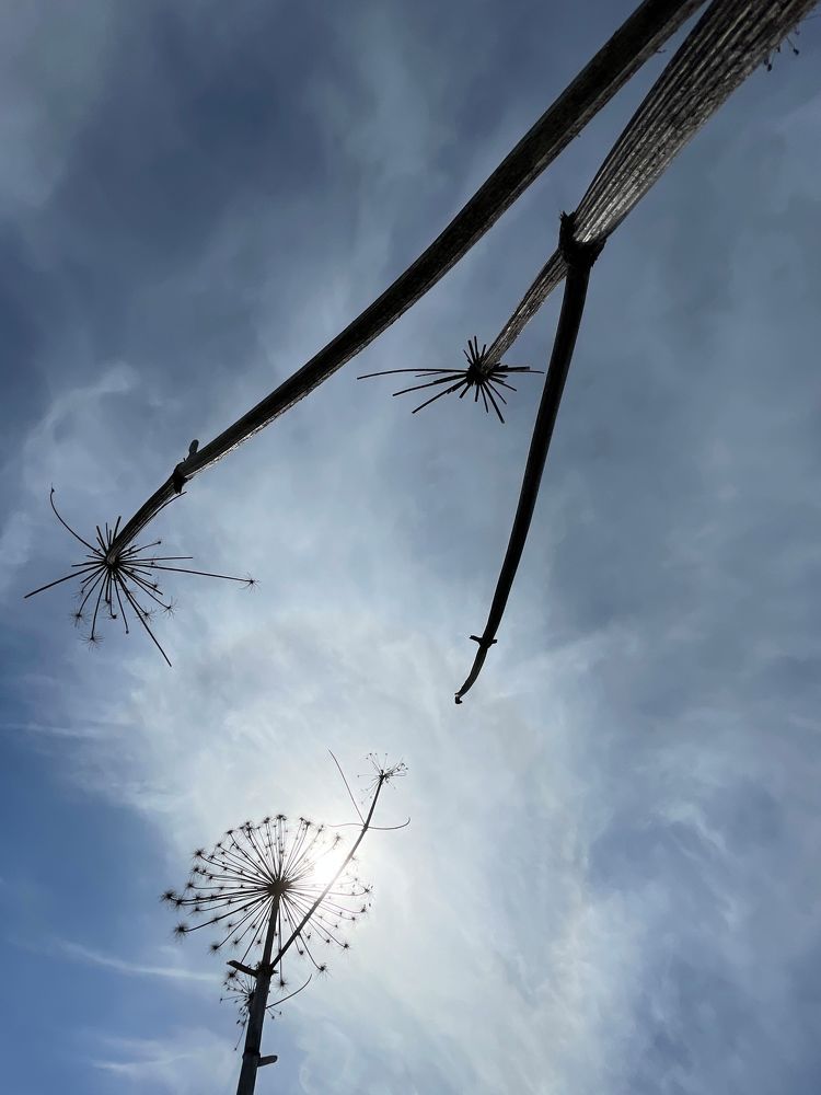 Photograph by Tatiana Teit Ash