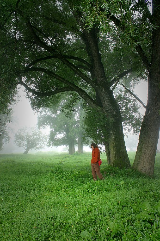 Фотография автора Любовь Харина