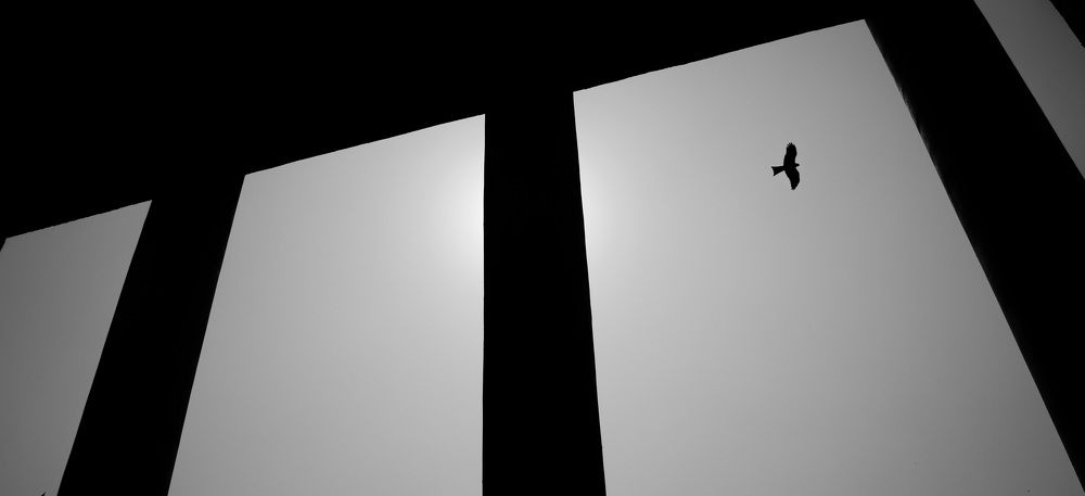 Photograph by DEBRAJ ROY