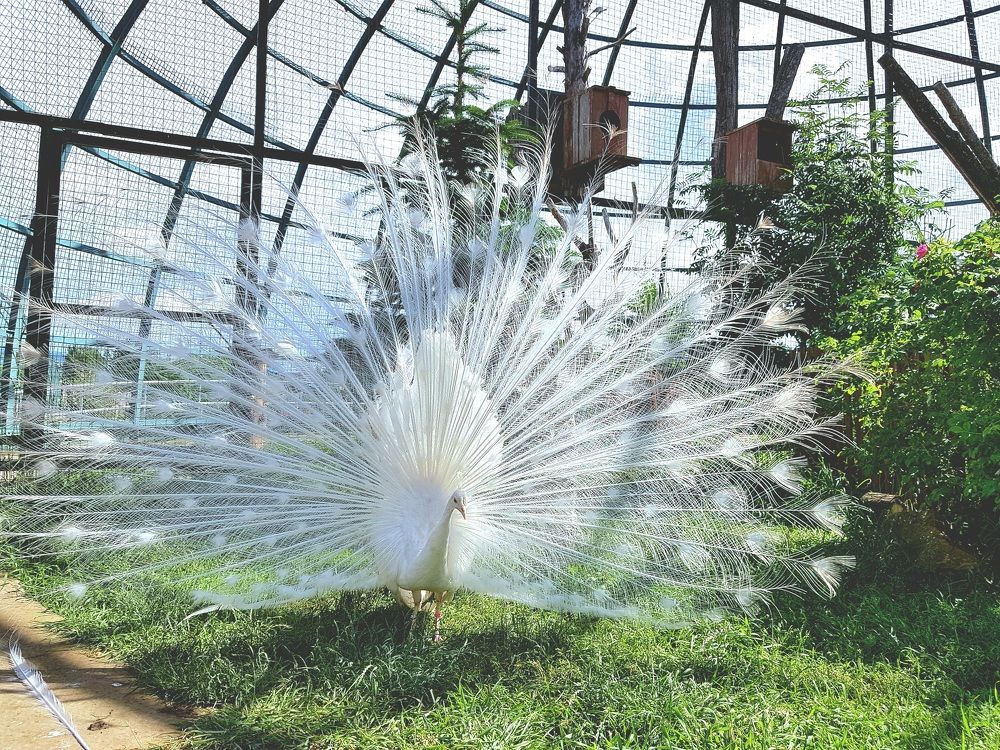 Photograph by Наталья Анисимова