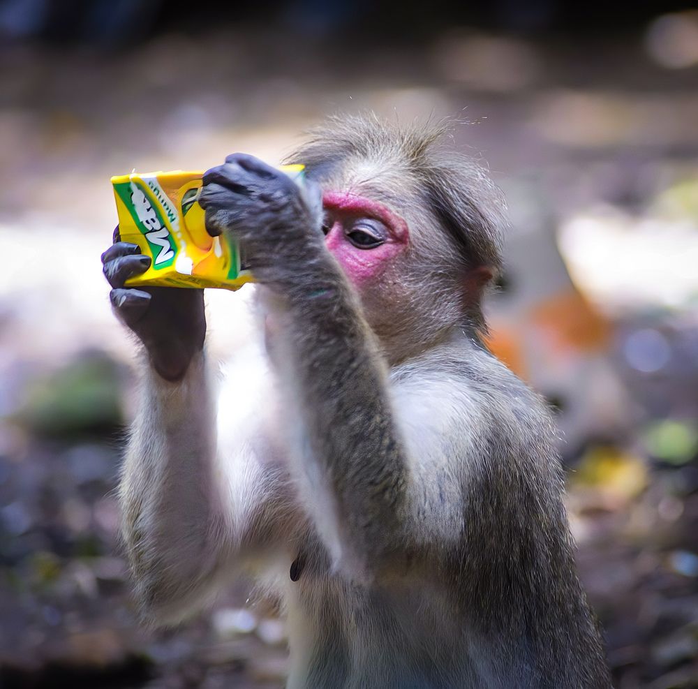 Photograph by Amal Madhu