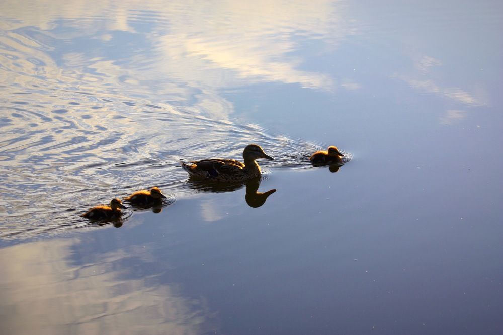 Photograph by Елена Смирнова