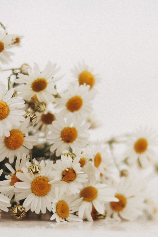 Photograph by Ольга