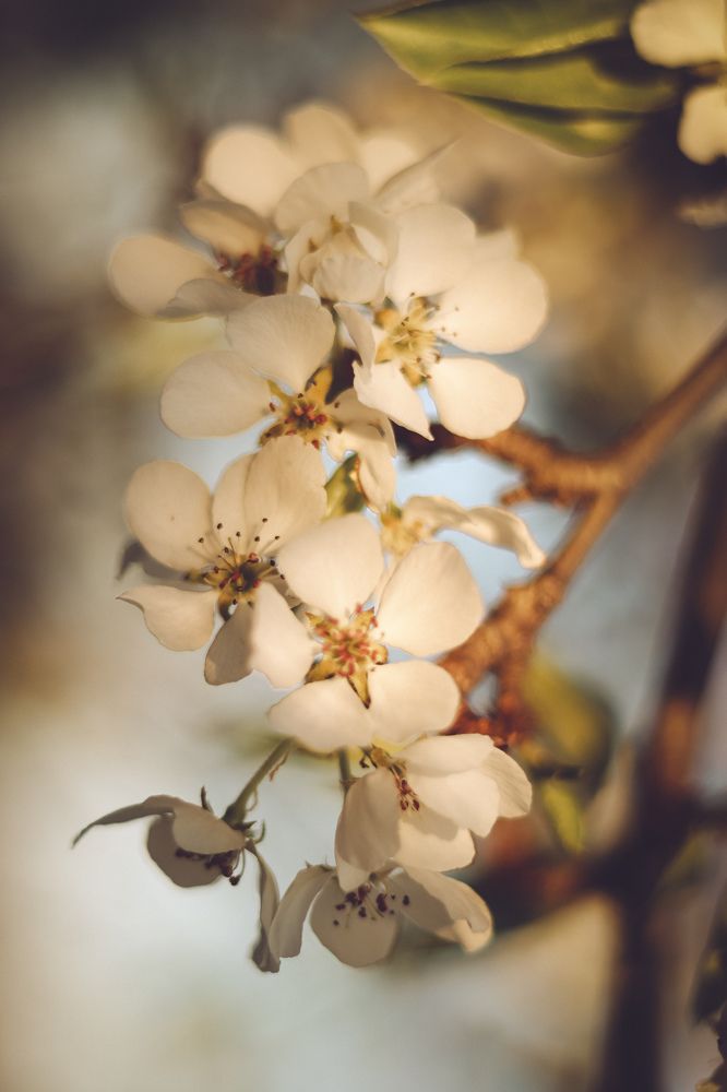 Photograph by Ольга