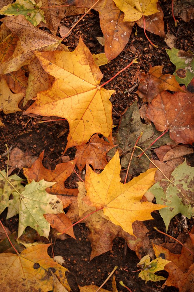 Photograph by Ольга