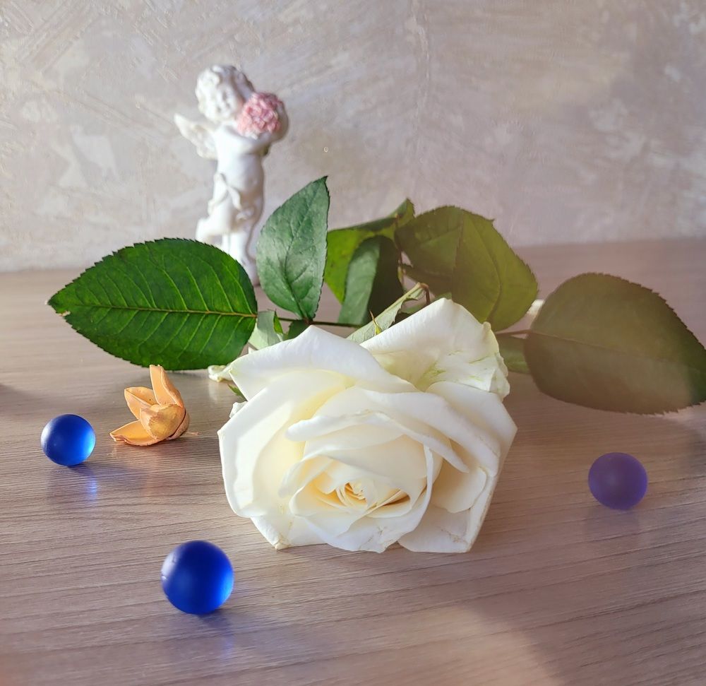 Photograph by Oksana Sabeleva