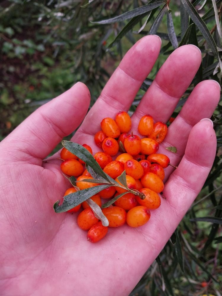 Photograph by Юлия Фирман