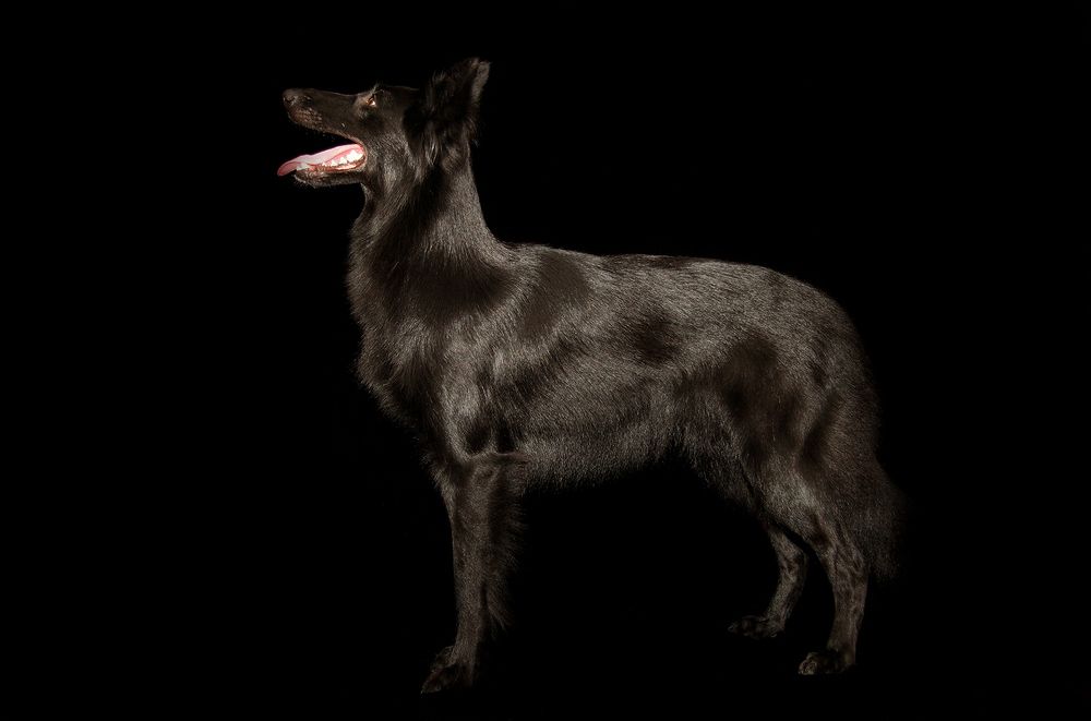 Фотография автора Надежда Лисицына