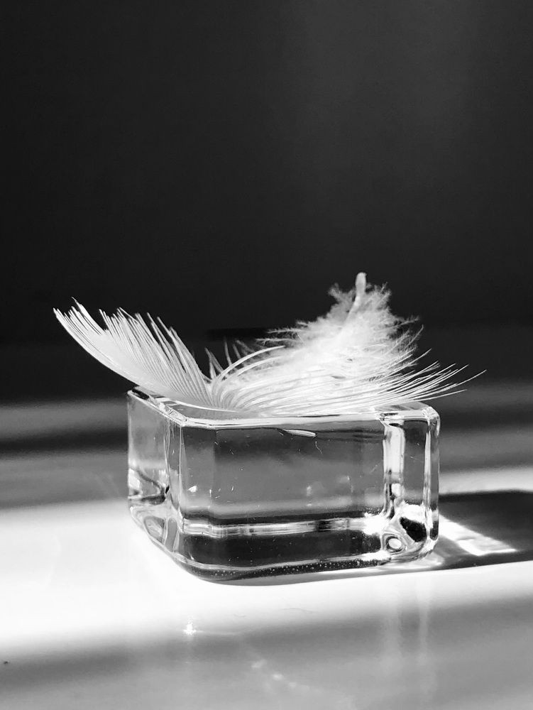 Photograph by Halina Mitsevich