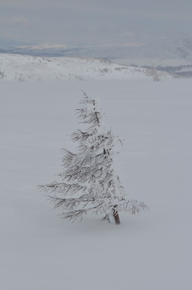 Photograph by Евгений Захаров