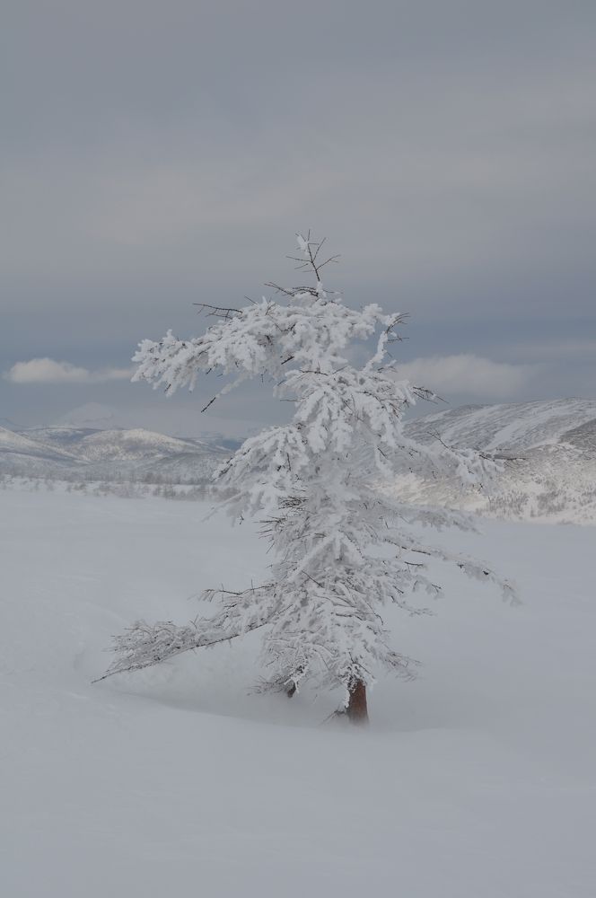 Photograph by Евгений Захаров