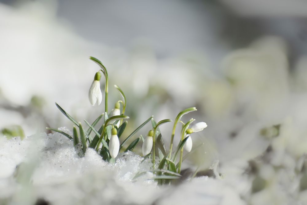 Фотография автора Рохмистрова Мария