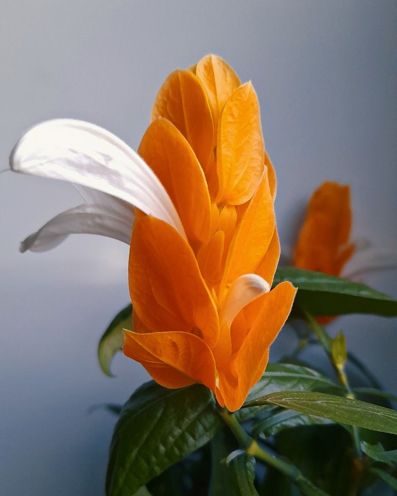 Фотография автора Анна Морозова