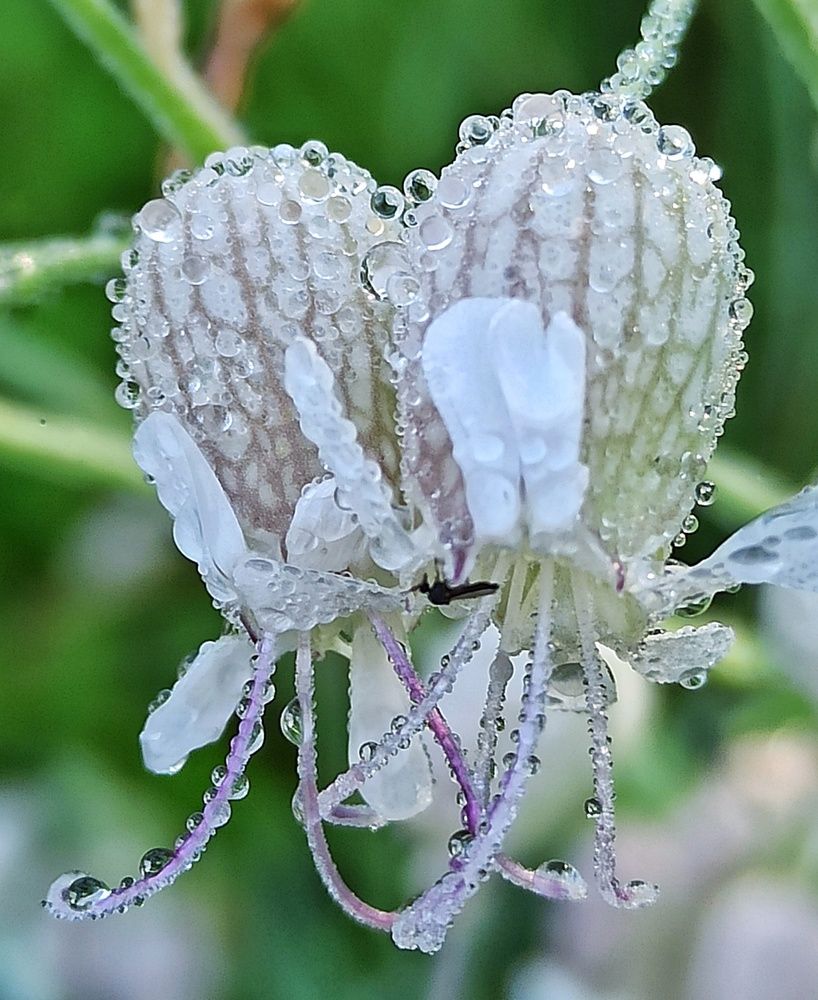 Photograph by Новикова Елена Сергеевна