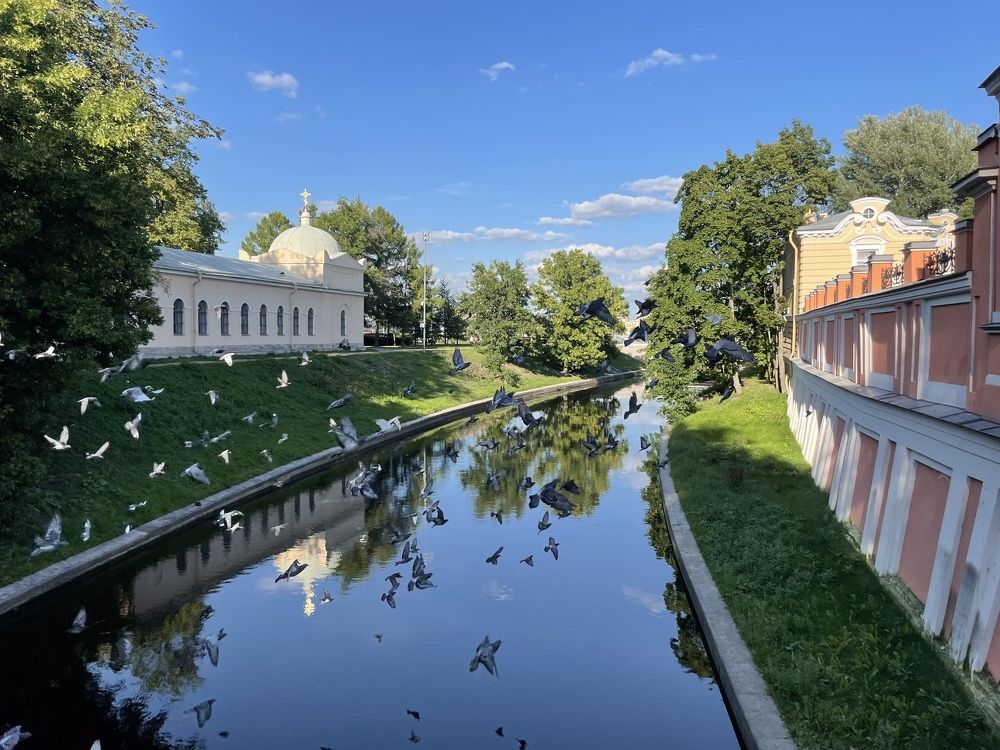 Photograph by Ирина Федорова