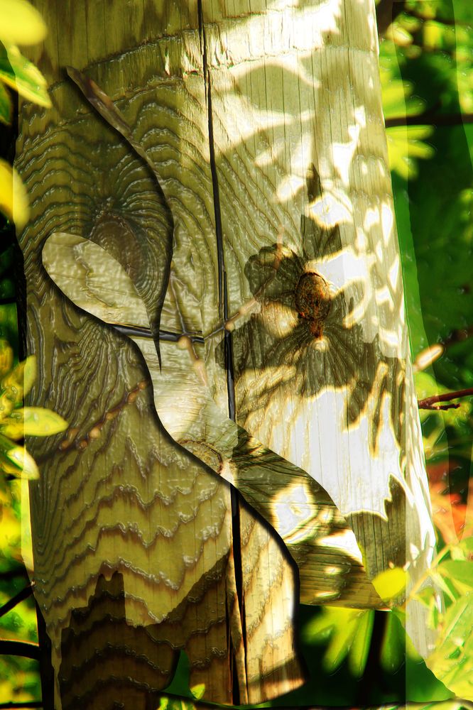 Многозначность