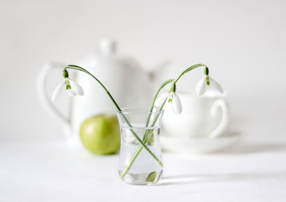 Подснежники