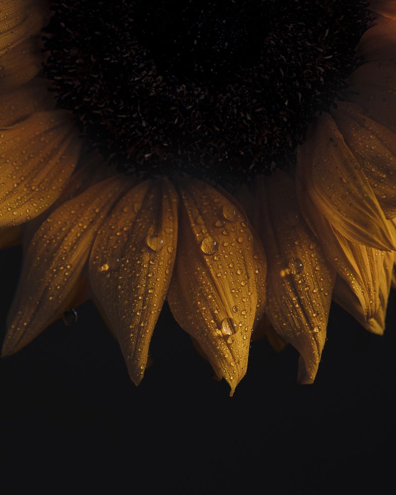 Photograph by Maryam Jassim