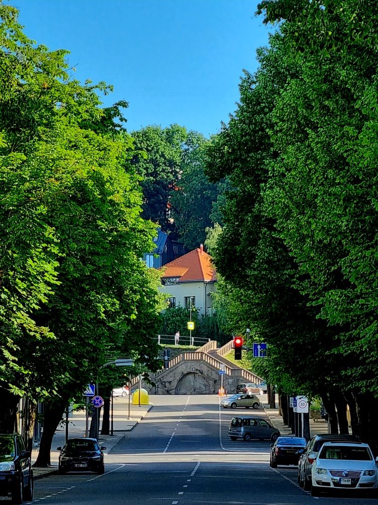 Photograph by Elena Tamošauskaite