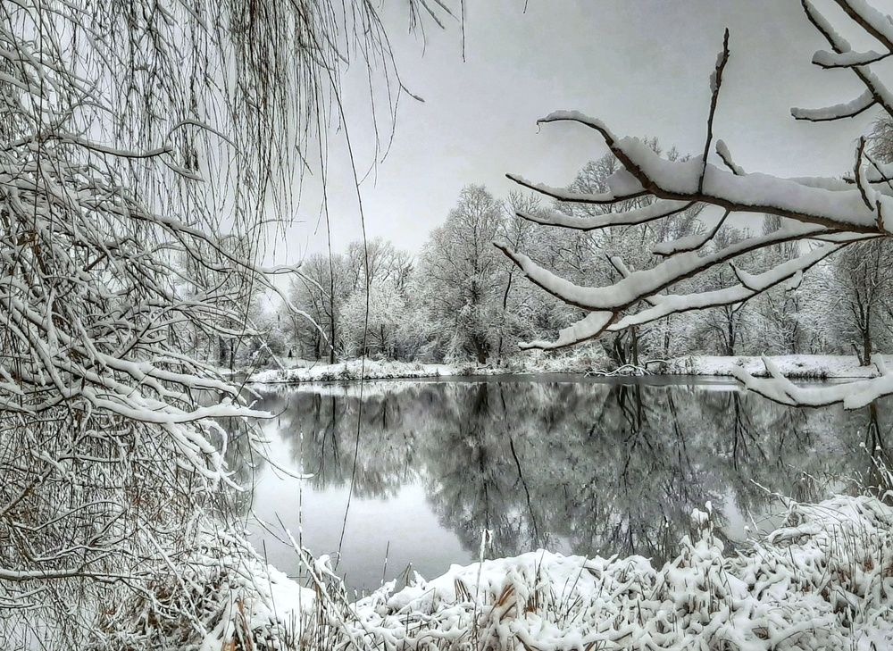 Photograph by Юлия Коробкова