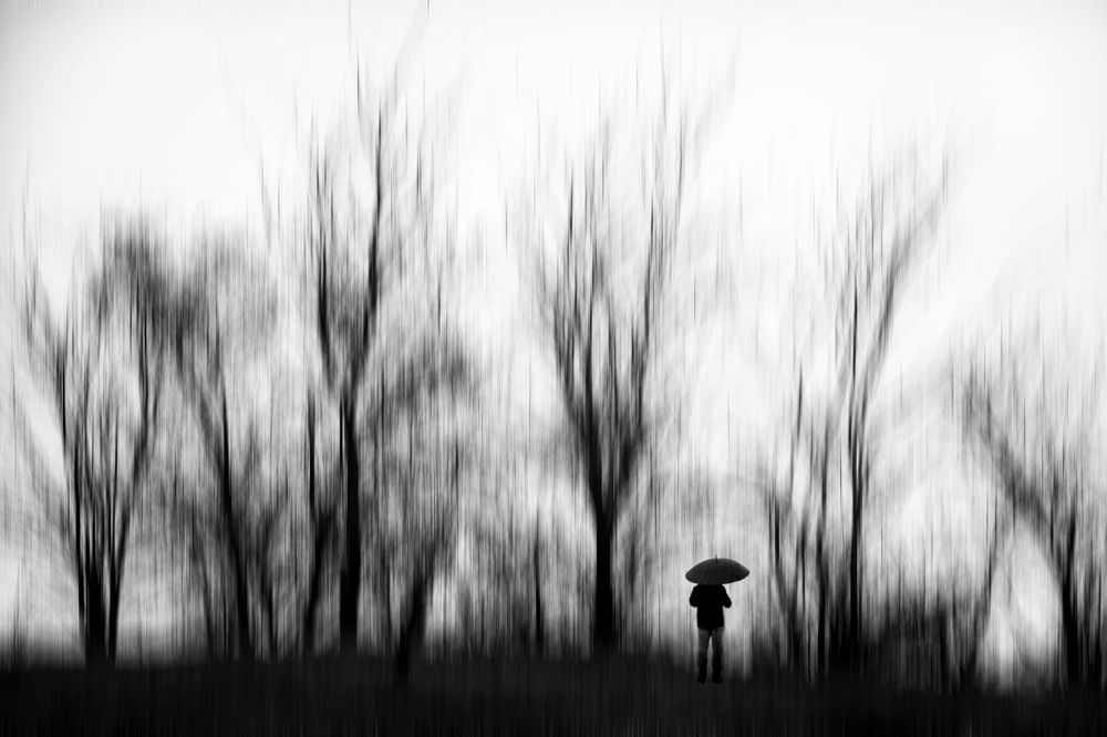 Photograph by Mahmoodreza Noraei