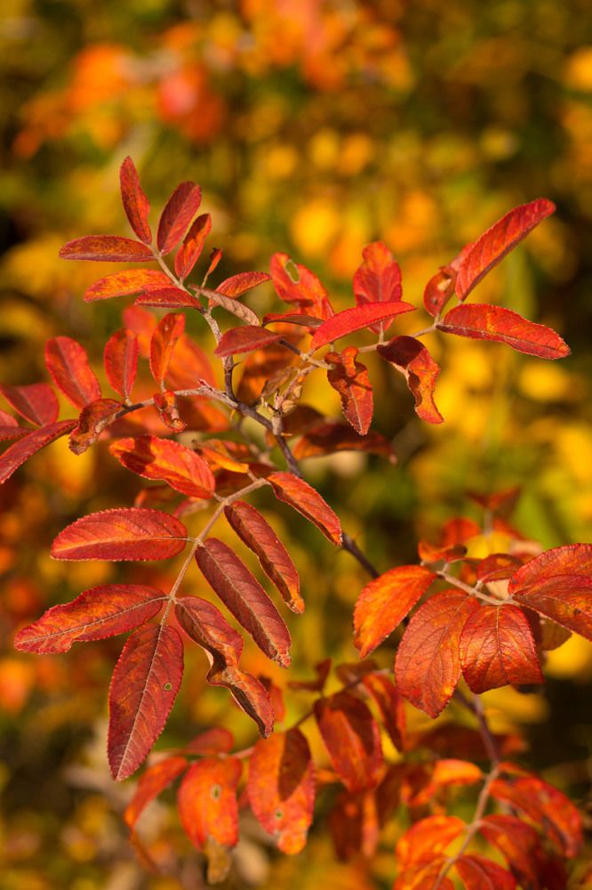 Photograph by Татьяна Пахатинская